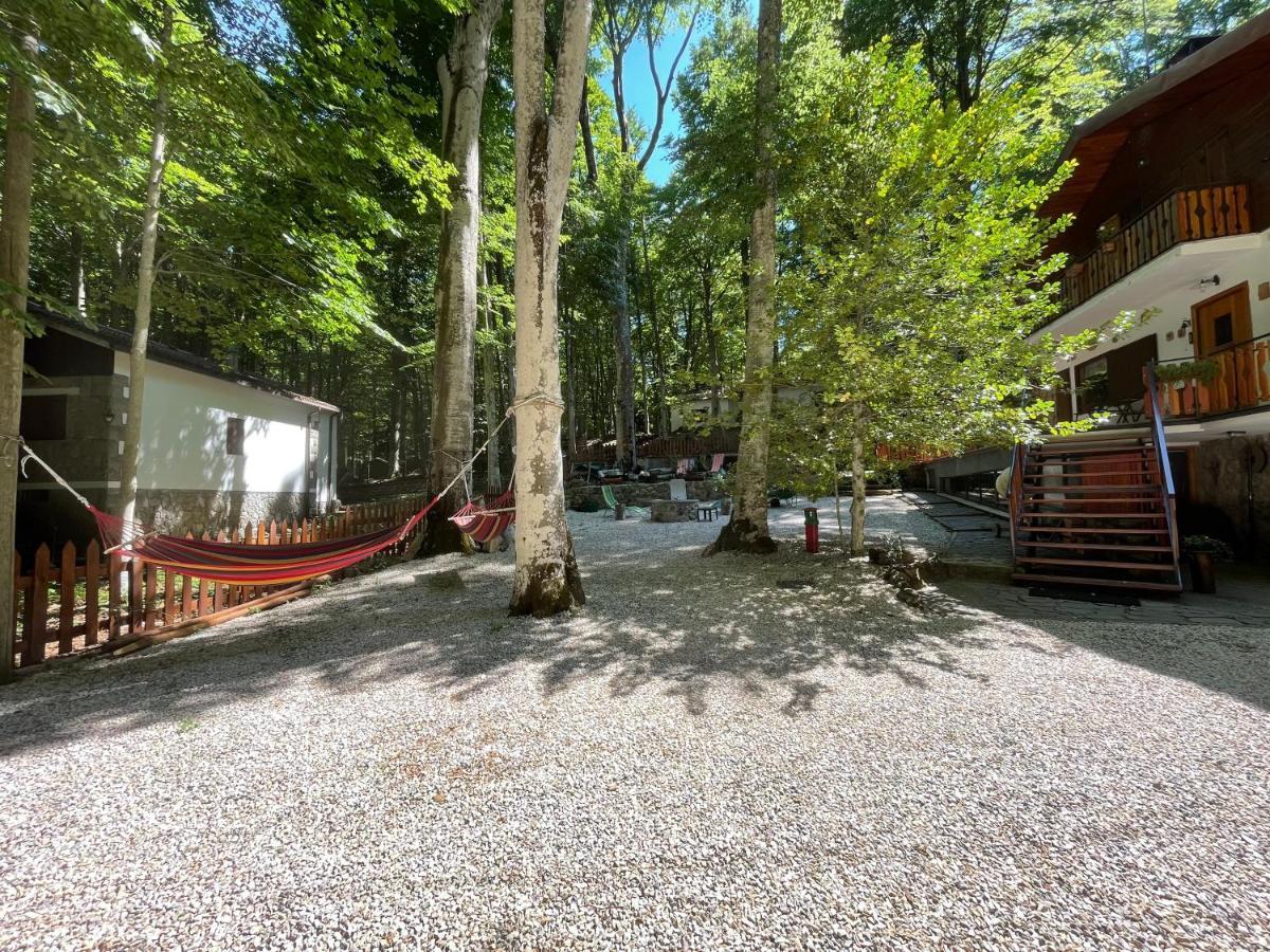 Апартаменти Chalet I Folletti Аббадія-Сан-Сальваторе Екстер'єр фото